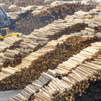 Pila Mayr-Melnhof Holz Paskov patří mezi největší v Evropě