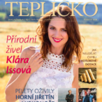 Český průvodce světem kotlů, kamen a dřevěných paliv: časopis Komfortní teplíčko 2018
